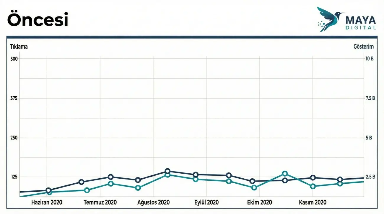 Maya Digital Seo'dan Önce